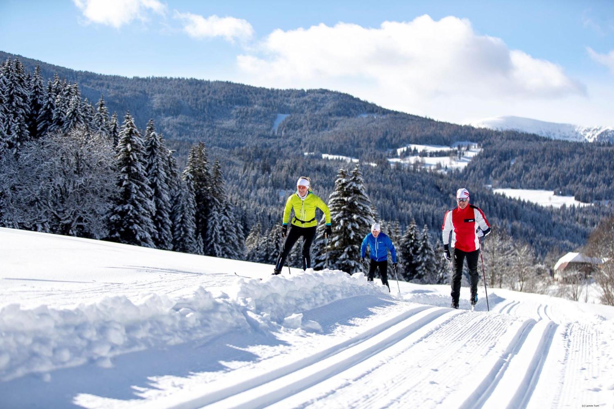 Alpenpark Turrach By Alps Resorts Turracher Hohe Exteriér fotografie